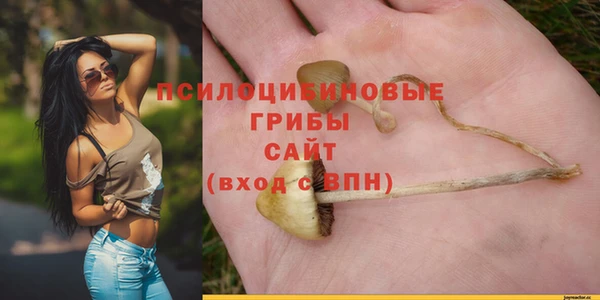 а пвп мука Аркадак