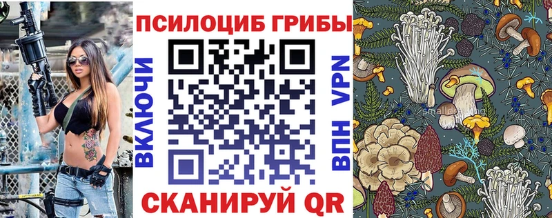 Галлюциногенные грибы мицелий  Купить закладки  Медвежьегорск 